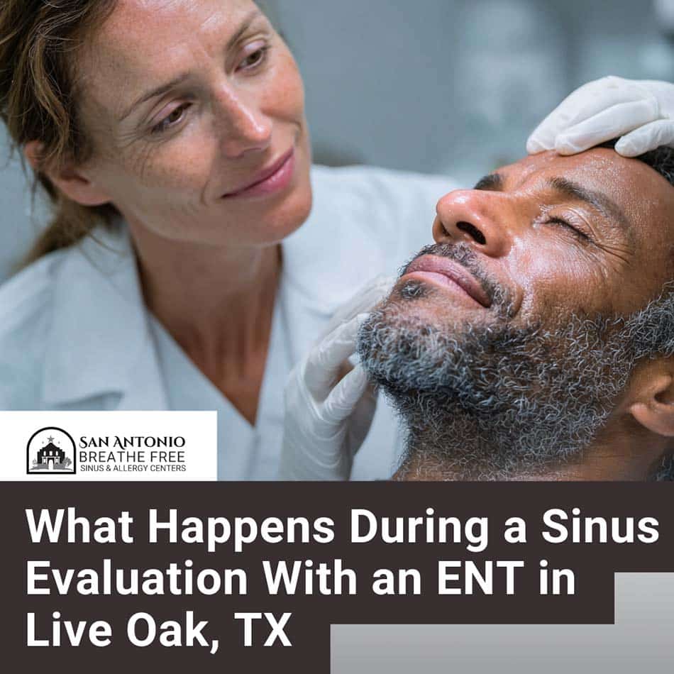 What Happens During a Sinus Evaluation With an ENT in Live Oak, TX What Happens During a Sinus Evaluation With an ENT in Live Oak, TX